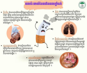 ផល់ប៉ះពាល់នៃផលិតផលថ្នាំជក់៖