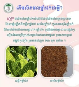 តោះមកនិយាយពីផលិតផលថ្នាំជក់មានដូចខាងក្រោម៖