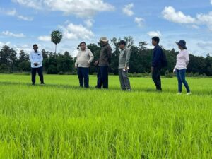 ឯកឧត្តមរដ្ឋលេខាធិការ ឱម គឹមស៊ា អញ្ជើញដឹកនាំក្រុមការងារចុះពិនិត្យមើលការងារបង្កបង្កើនផលដំណាំស្រូវវស្សា បន្លែ និងការចិញ្ចឹមសត្វ នៅភូមិចំនួនពីរ ក្នុងខេត្តកំពង់ឆ្នាំង