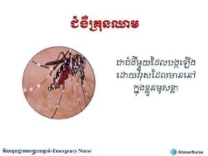 ជំងឺគ្រុនឈាម ការពារទាំងអស់គ្នាពីការកើតជំងឺគ្រុនឈាម តាមវិធានការការពារ