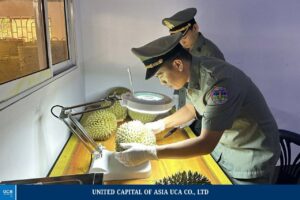 ក្រសួងកសិកម្ម ៖ ផ្លែទុរេនស្រស់កម្ពុជាជើងដំបូងជាង១៧តោន ត្រូវបាននាំចេញជាផ្លូវការទៅកាន់ទីផ្សារប្រទេសចិន